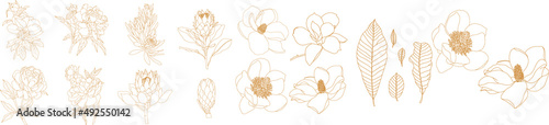 Set of graphical golden hand drawn summer, spring flowers. Vector.