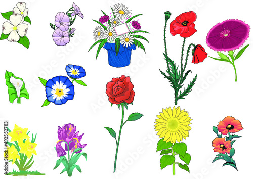 set of flowers illustration vector photo