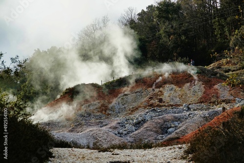 Quadro su tela fire in the forest , image taken in Follonica, grosseto, tuscany, italy , larder