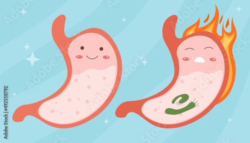 Smiling healthy stomach and sad sick stomach character
