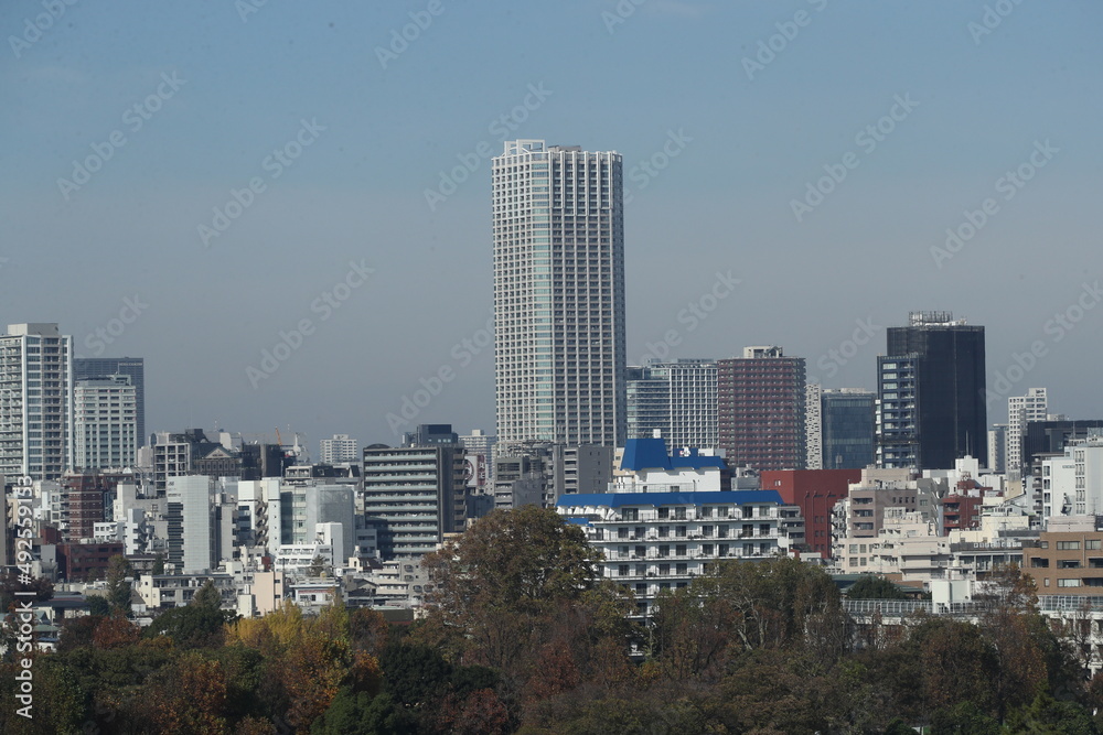 Fototapeta premium les batiement de la ville de Tokyo