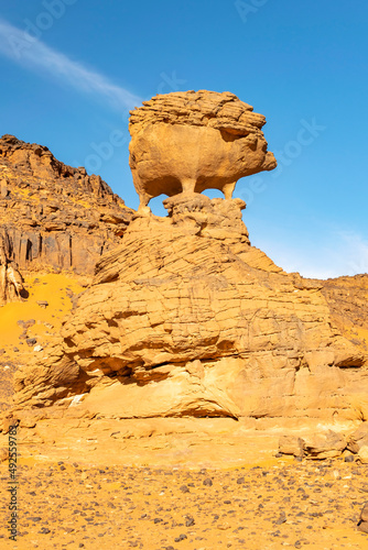 Huge hedgehog naturally shaped rock. Amazing view in the Sahara desert of Tadrart Rouge, Djanet, Algeria. With colorful orange and red sand. Rocky mountains and a rock shape of a hedgehog yellow stone