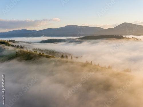 Fototapeta Naklejka Na Ścianę i Meble -  Mountain settlement in the Ukrainian Carpathians in the morning mist. Aerial drone view.