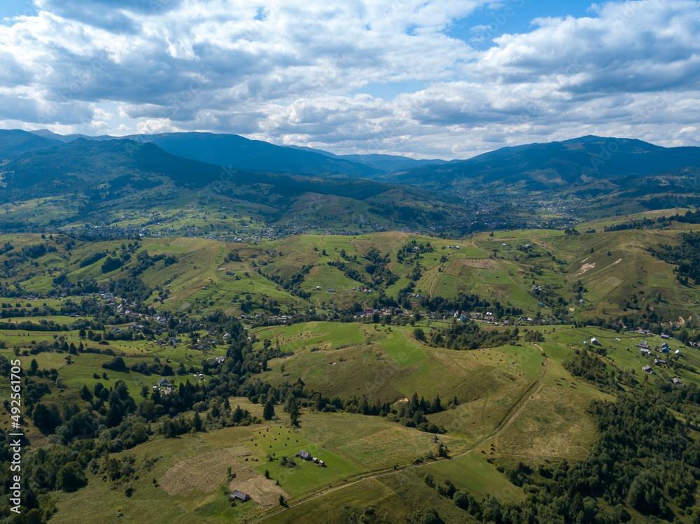 Obraz premium Green mountains of Ukrainian Carpathians in summer. Coniferous trees on the slopes. Aerial drone view.