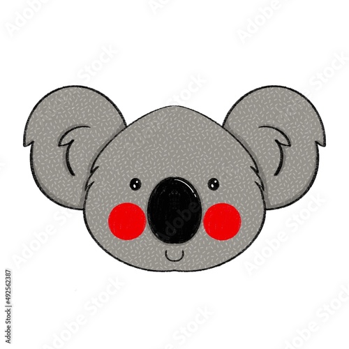 Photography Koala