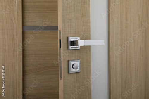 interior door, beautiful canvas, expensive fittings, made of natural veneer, door fittings