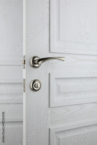 interior door, beautiful canvas, expensive fittings, made of natural veneer, door fittings