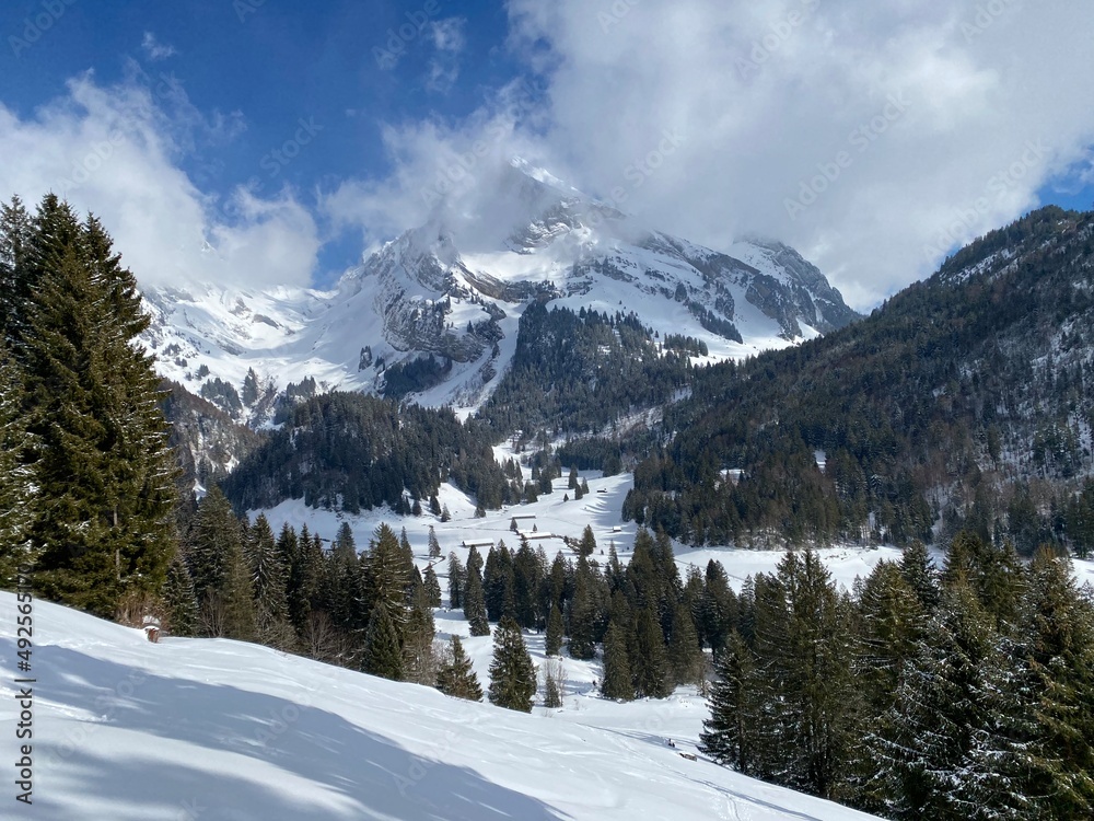 Fototapeta premium White blanket on alpine peak Wildhuser Schofberg (or Wildhuser Schafberg, 2373 m) in Alpstein mountain range and in Appenzell Alps massif, Unterwasser - Canton of St. Gallen, Switzerland (Schweiz)