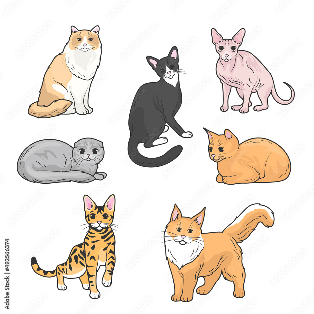 Fanny cartoon cats in different poses. Domestic cats sleeping and walking, sitting and playing, happy and sad kitten vector icons on white background