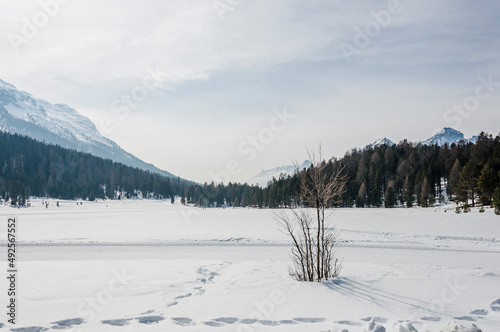 St. Moritz, Stazersee, Bergsee, Stazerwald, Winter, Winterwanderung, Wintersport, Alpen, Oberengadin, Graubünden, Schweiz © bill_17