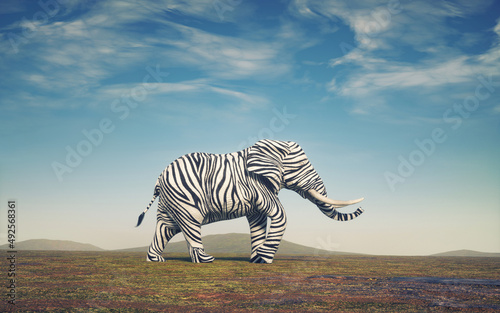 Elephant with zebra skin.