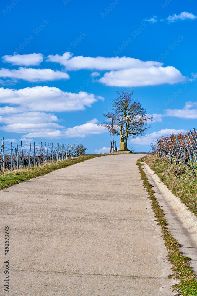 Bildstock in den Weinbergen auf der Weininsel bei Sommerach an der Vokacher Mainschleife, Landkreis Kitzingen, Unterfranken, Franken, Bayern, Deutschland