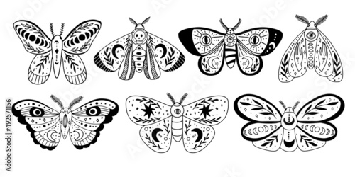 Fototapeta Naklejka Na Ścianę i Meble -  Set of mystic moth. Magical animal amulet. Collection of butterfly doodles.