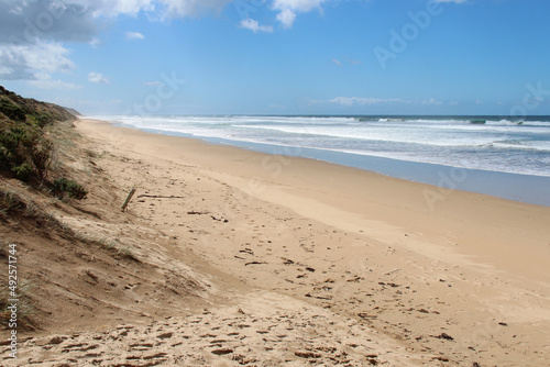 along the great ocean road  australia  