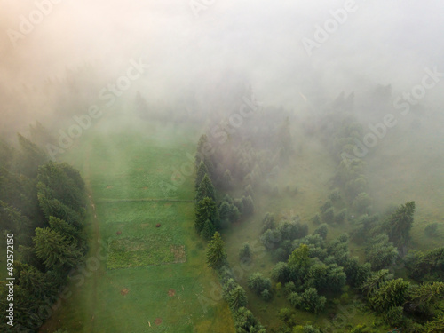 Morning mist in Ukrainian Carpathian mountains. Aerial drone view. © Sergey