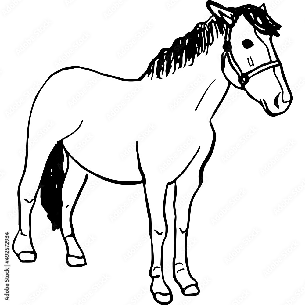 Ink sketch of horse