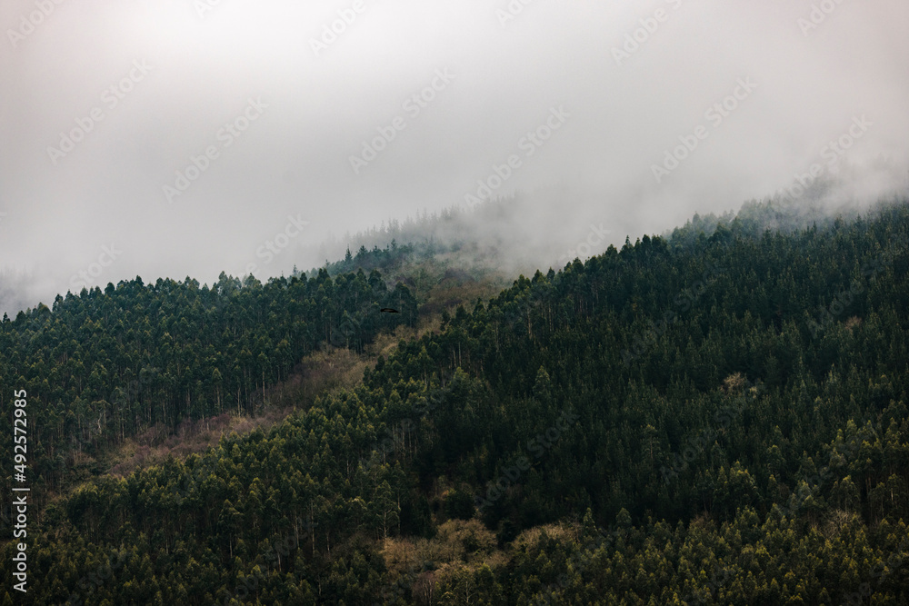 Niebla sobre Asturias