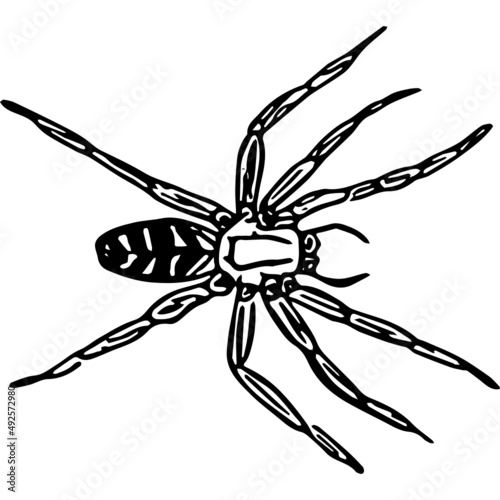Spider ink in black and white