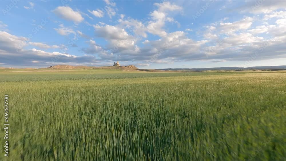 AERIAL DRONE FPV Low Flight Green fields Castle AERIAL DRONE FPV Low Flight Green fields Castle