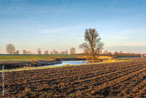 Picturesque Dutch polder landscape with a plowed field in the foreground. The blue sky is reflected in the water of a wide ditch. It is a sunny morning in the winter season. photo