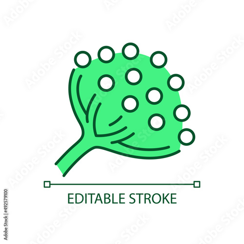 Mycotoxin poisoning RGB color icon. Mold exposure. White fungal spores on plants. Contaminated food. Isolated vector illustration. Simple filled line drawing. Editable stroke. Arial font used
