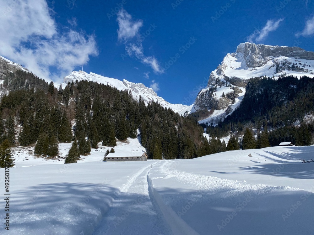 Snow-capped alpine peaks Säntis (Saentis or Santis, 2502 m) and Wildhuser Schofberg (or Wildhuser Schafberg, 2373 m) in Alpstein mountain range, Alt St. Johann - Switzerland (Schweiz)