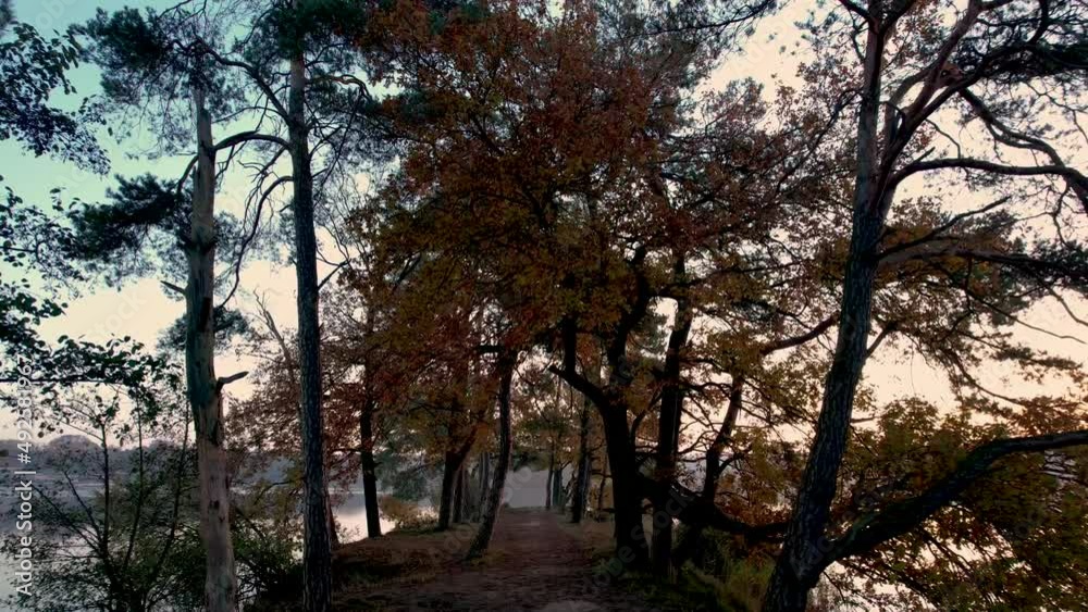 Moody slow steady slow forward movement through a pathway on peninsula in De IJzeren Man lake with colorful sunrise seen through the autumn colored trees and foliage. Moody slow steady slow forward movement through a pathway on peninsula in De IJzeren Man lake with colorful sunrise seen through the autumn colored trees and foliage.