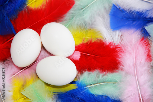festive easter eggs and colorful bird feathers