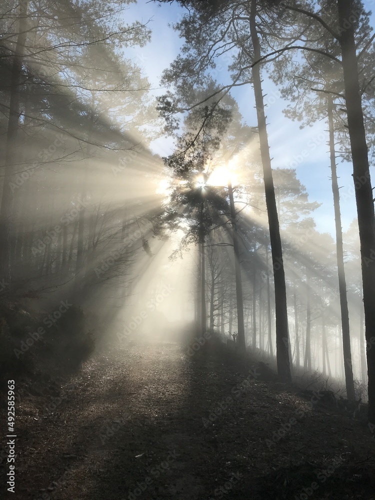 Obraz premium Wanderung