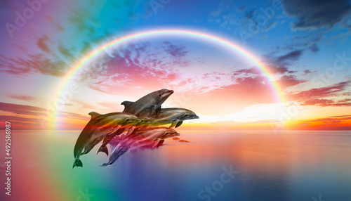 Group of dolphins jumping on the sea wave with amazing rainbow at sunset 