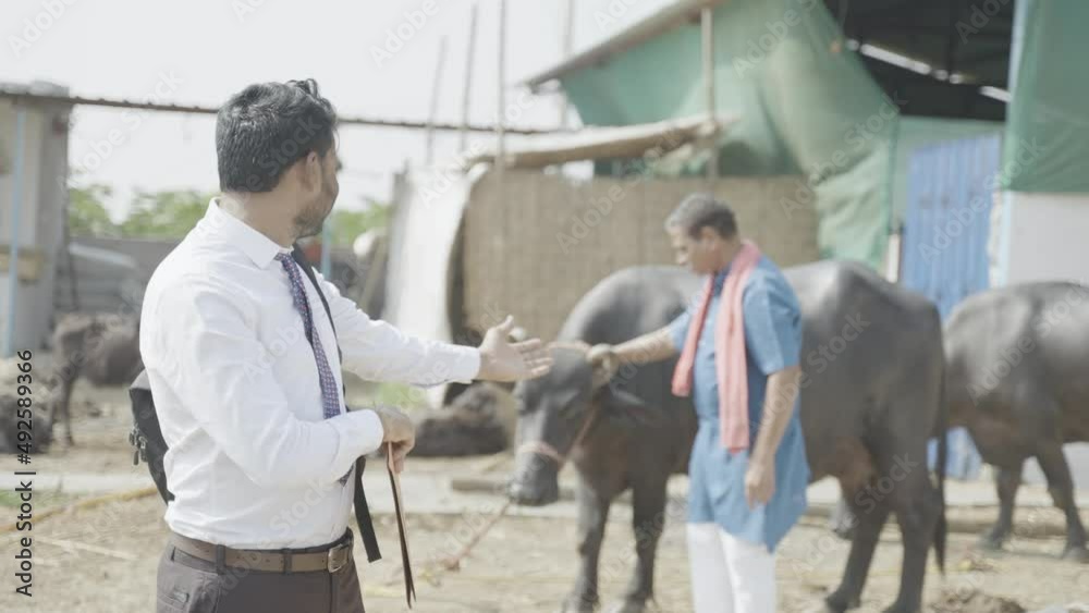 Smiling banker confidently standing by showing livestock at dairy farmhouse by looking at camera - concept of banking or financial support for small business Smiling banker confidently standing by showing livestock at dairy farmhouse by looking at camera - concept of banking or financial support for small business