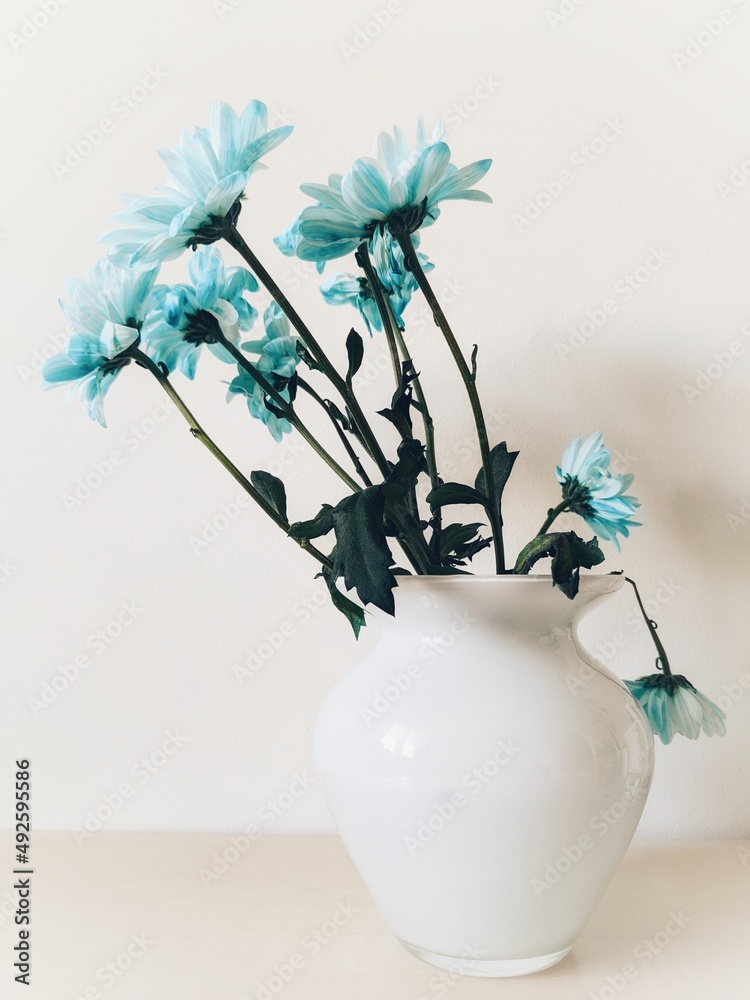 The blue flowers in white vase on the bright wall