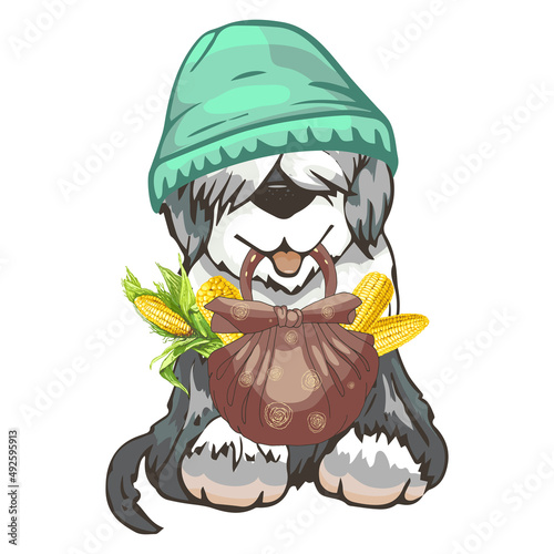 dog breed commander in a hat with a bag and corn gray dog ​​Commander breed in a green stylish hat with a shopping bag and fresh corn, vector printable image
