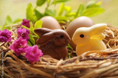 Osternest mit zwei Schokohasen photo