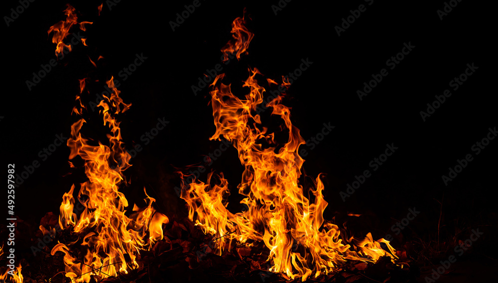 Panorama Fire flames on black background.global warming concept.Abstract background sparks, dark glitter, light particles, light. Bonfire in motion blur. Panorama Fire flames on black background.global warming concept.Abstract background sparks, dark glitter, light particles, light. Bonfire in motion blur.