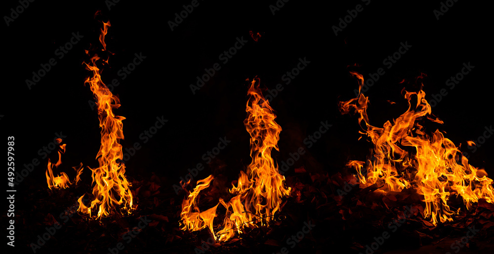 Panorama Fire flames on black background.global warming concept.Abstract background  sparks, dark glitter, light particles, light. Bonfire in motion blur.