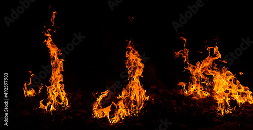 Panorama Fire flames on black background.global warming concept.Abstract background sparks, dark glitter, light particles, light. Bonfire in motion blur.