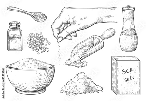 Sea salt vintage engraving, food seasoning in spoon and bowl. Hand drawn salt crystal powder in hand, wooden scoop with salt vector sketch set. Salt shaker, container and packaging for crystals