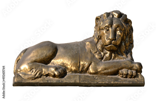 Bronze statue of the lion  isolated on a white background