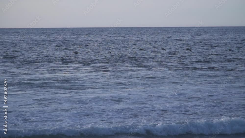 Birds are flying right above water surface. View on sea or ocean. Slow motion Birds are flying right above water surface. View on sea or ocean. Slow motion