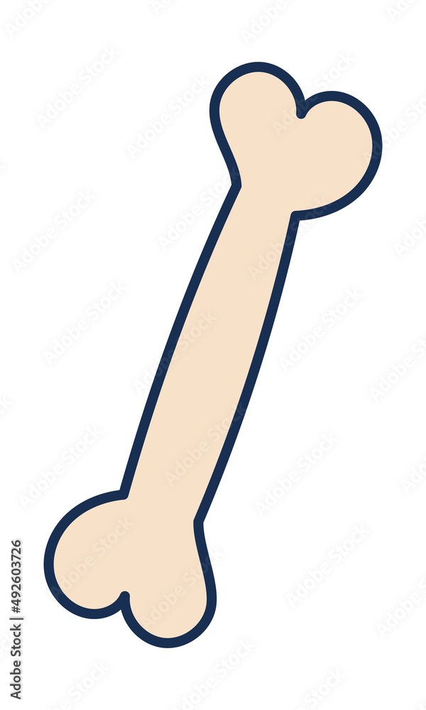 Fototapeta premium bone icon image