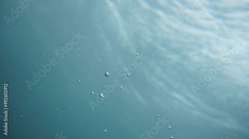 under the sea in Jeju
제주도 바다