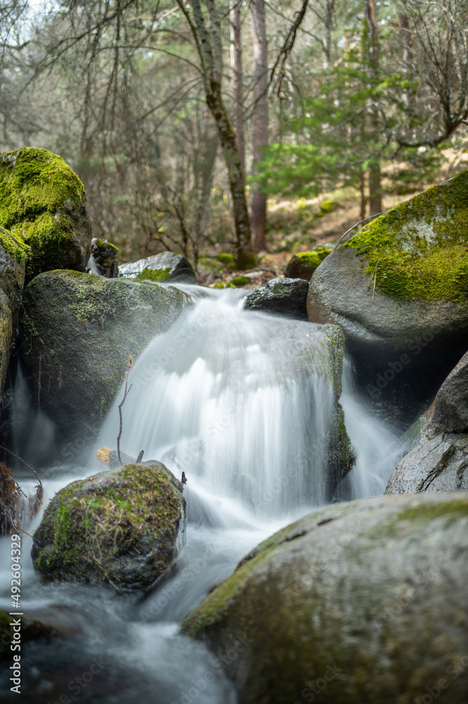 Mountain river running through a forest and over rocks nearby in the Sierra de Madrid Mountain river running through a forest and over rocks nearby in the Sierra de Madrid