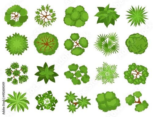 Cartoon top view trees, plants, bushes for landscaping design. Garden tree, bush, shrub, plant elements for landscape plan vector set. Different greenery for projects, maps and schemes