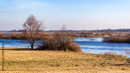 Fototapeta Naklejka Na Ścianę i Meble -  Wiosenne rozlewiska Biebrzy w Burzynie, Podlasie, Polska