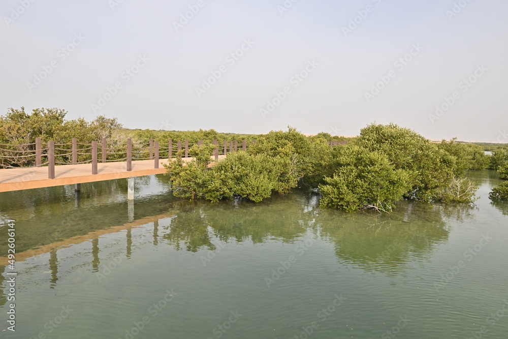 Purple Island full of Mangrove in Thakira. Known as Dakhira