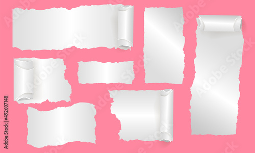 Realistic torn ripped paper with rolled edges 