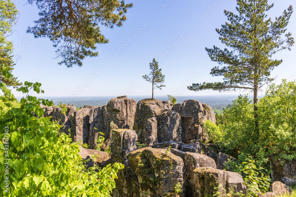 Rocks with a growing pine tree on top
