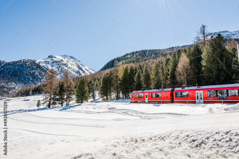 Naklejka premium Pontresina, Berninabach, Berninapass, Val Bernina, Winter, Wintersport, Wanderweg, Langlauf, Langlaufloipe, Oberengadin, Graubünden, Alpen, Schweiz