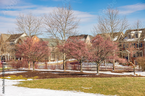 End of Winter, Welcome Spring.
Cherry blossoms are emerging, while snow is melting
